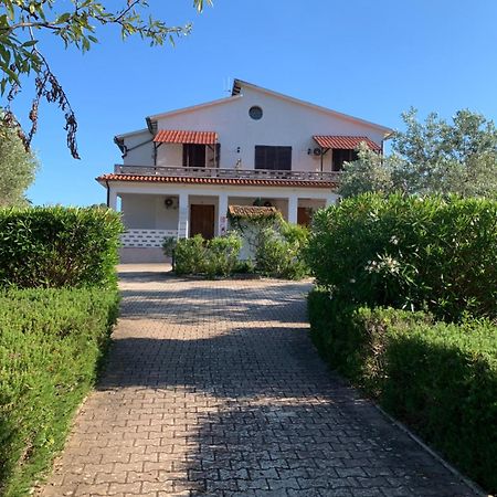 Villa Conti Residence Lacona Exterior photo